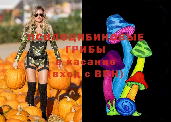 mix Алексин