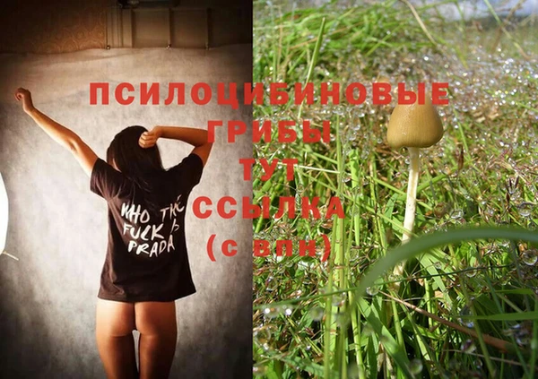 метадон Алексеевка