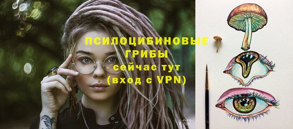 прущие грибы Алзамай