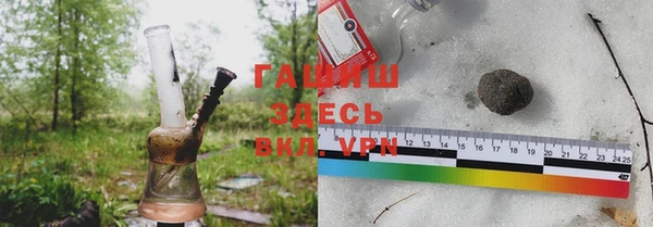 прущие грибы Алзамай