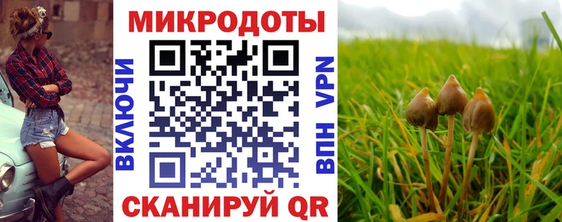 Псилоцибиновые грибы мухоморы  Кириши 