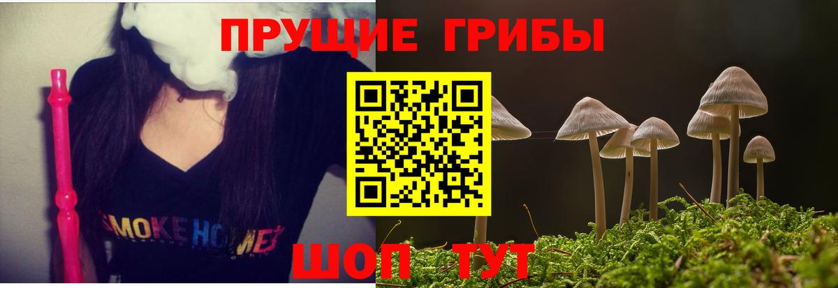 продажа наркотиков  Галлюциногенные грибы Magic Shrooms  Вход с VPN  Кириши 